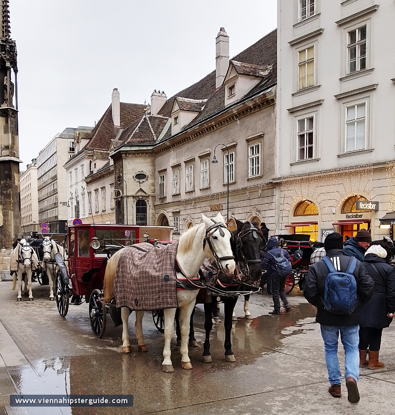 Wiener Fiaker - Horse-drawn carriage tour at Stephansdom in Vienna, Austria - Wien